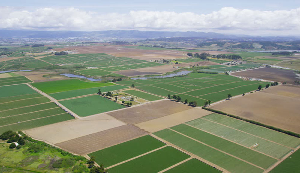 Cadastre of agricultural lands by UAV